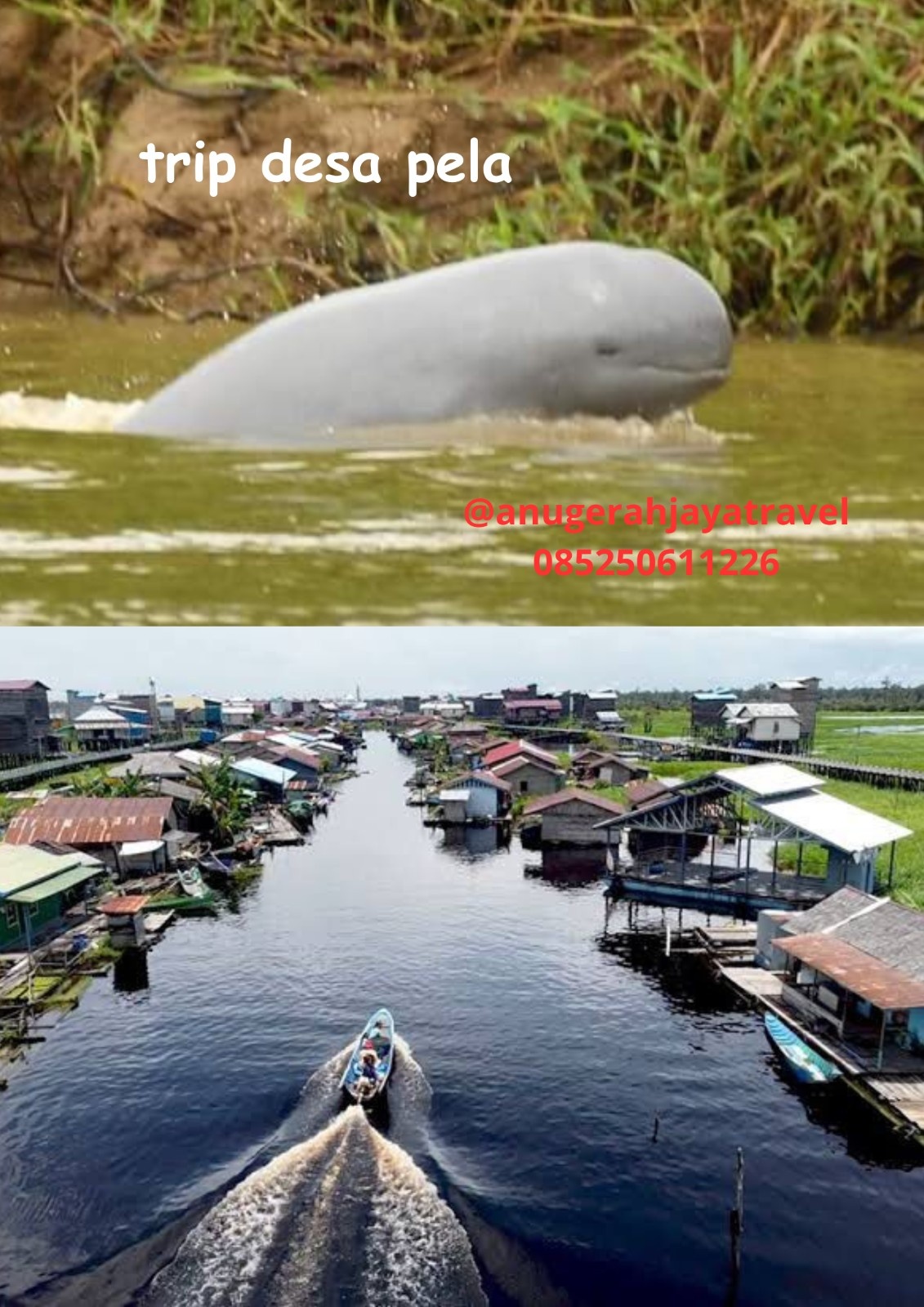 Desa Pela
